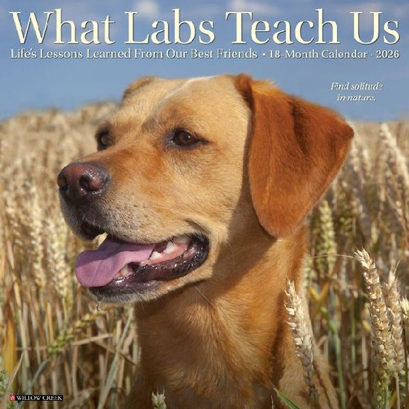 What Labs Teach Us 2026 12 X 12 Wall Calendar