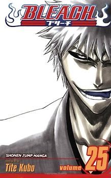 Bleach, Vol. 25: v. 25 - Tite Kubo