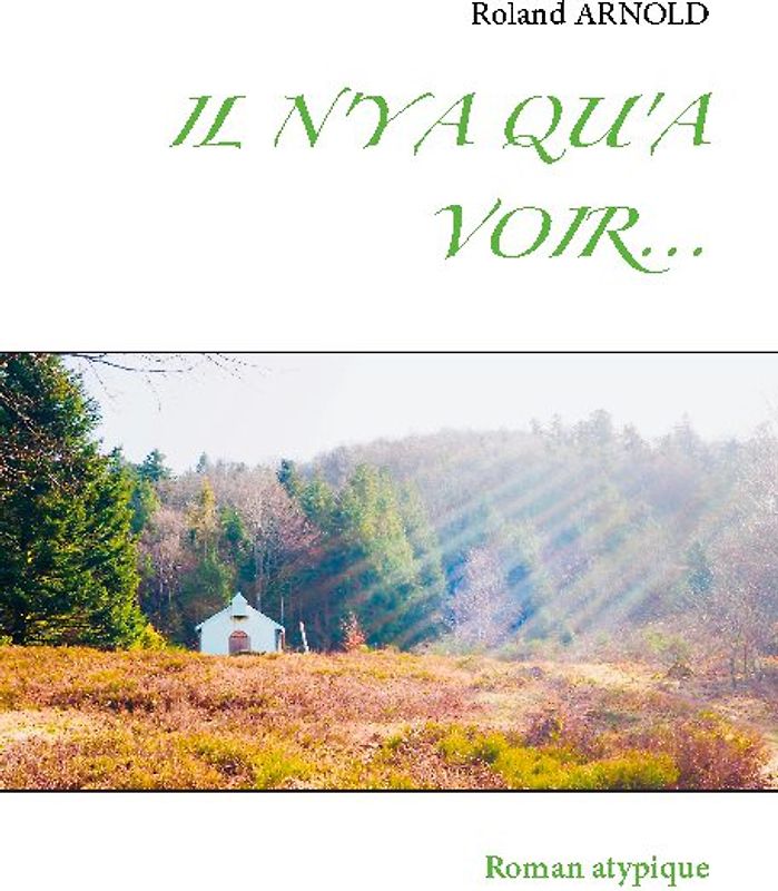 IL N'Y A QU'A VOIR...