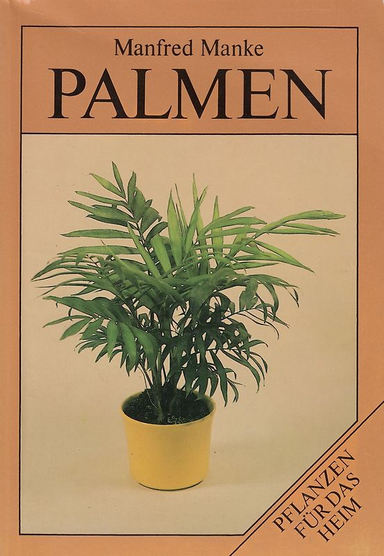 Palmen. Pflanzen für das Heim