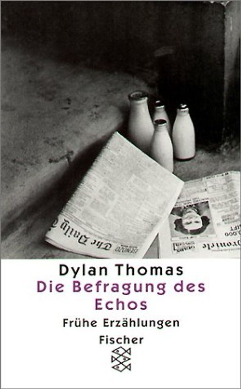 Die Befragung des Echos