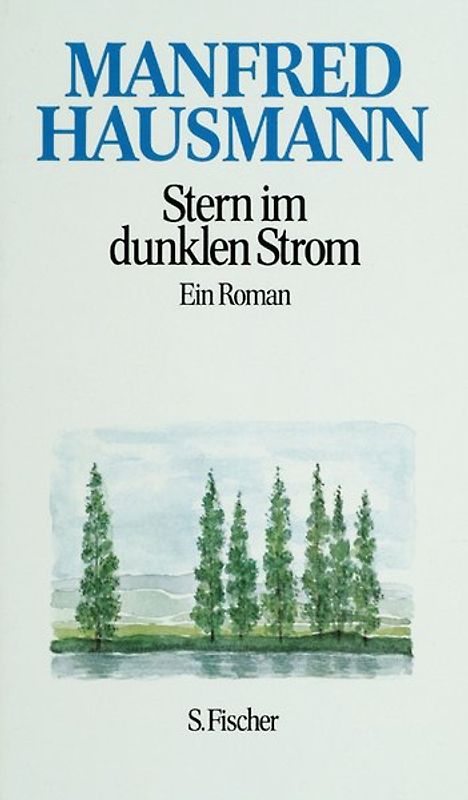 Manfred Hausmann. Gesammelte Werke / Stern im dunklen Strom. Ein Roman