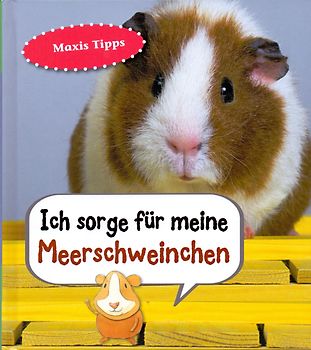 Meerschweinchen, Ich sorge für...