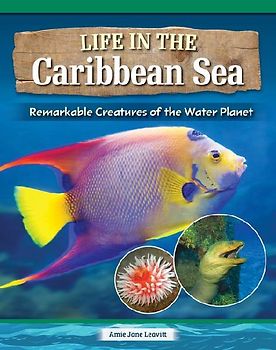 Incredible Creatures of the Caribbean Sea