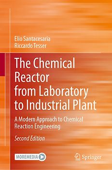 The Chemical Reactor from Laboratory to Industrial Plant