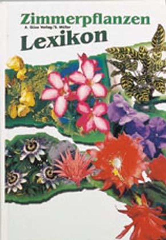 Zimmerpflanzen Lexikon