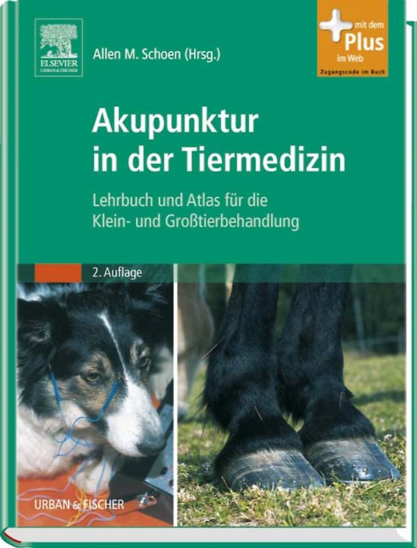 Akupunktur in der Tiermedizin