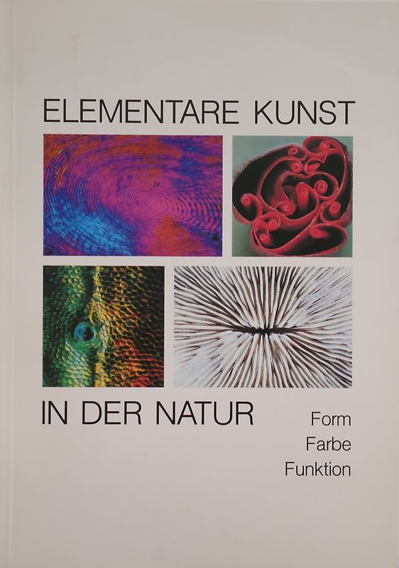 Elementare Kunst in der Natur