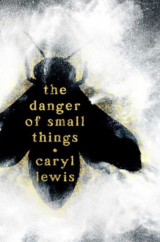 The Danger of Small Things