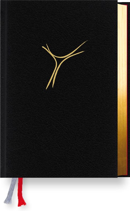 Gotteslob Erzbistum Köln. Cabra schwarz, Goldschnitt.