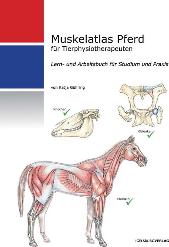 Muskelatlas Pferd (Softcover)
