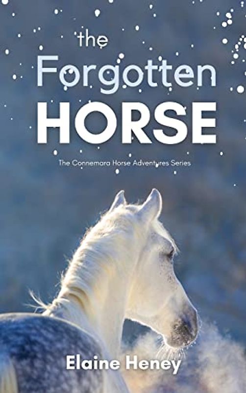 The Forgotten Horse - Book 1 in the Connemara Horse Adventure Series for Kids | The Perfect Gift for Children (Connemara Pony Adventures, Band 1)