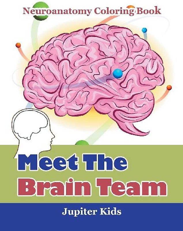 Meet The Brain Team