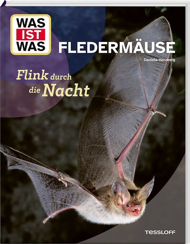 WAS IST WAS Fledermäuse. Flink durch die Nacht