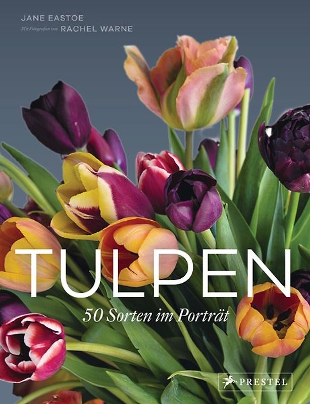 Tulpen