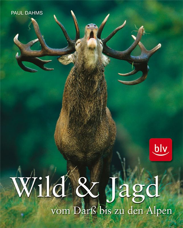 Wild und Jagd vom Darß bis zu den Alpen