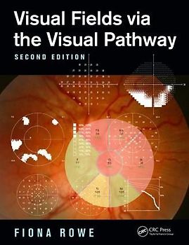 Visual Fields Via the Visual Pathway