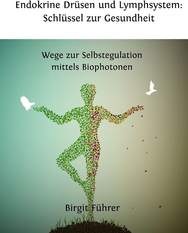 Endokrine Drüsen und Lymphsystem: Schlüssel zur Gesundheit