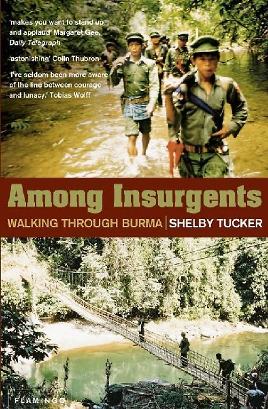 Among Insurgents