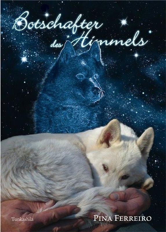 Botschafter des Himmels