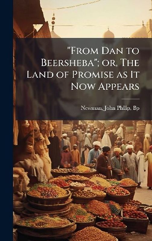 "From Dan to Beersheba"; or, The Land of Promise as It Now Appears