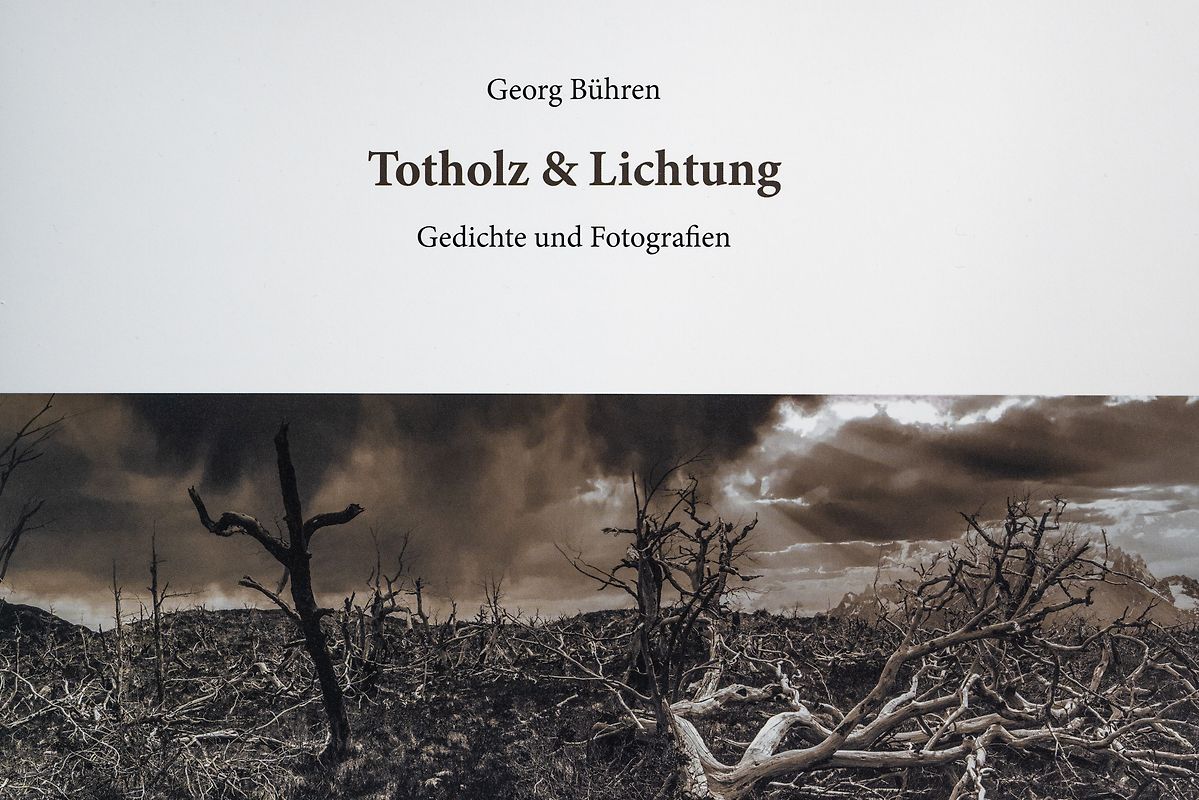 Totholz & Lichtung