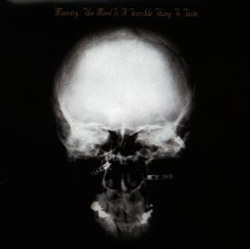 Ministry - The Mind Is a Terrible Thing