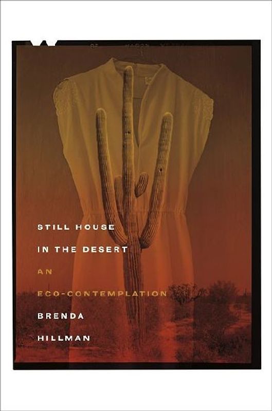 Still House in the Desert