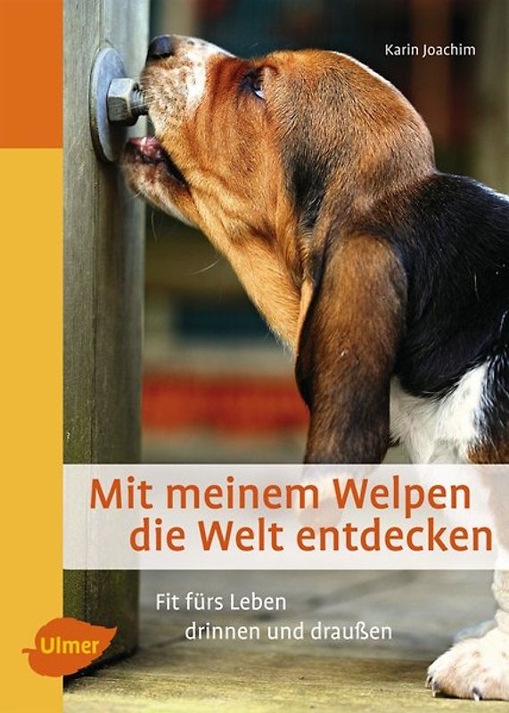 Mit meinem Welpen die Welt entdecken