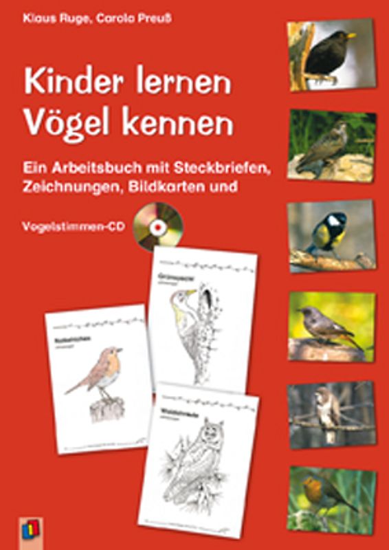 Kinder lernen Vögel kennen