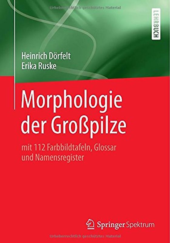 Morphologie der Großpilze