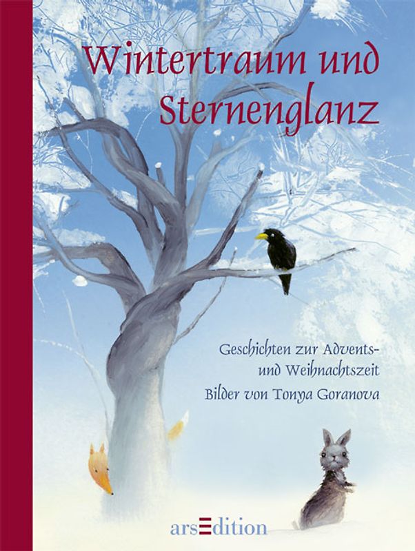 Wintertraum und Sternenglanz