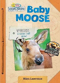 Baby Moose