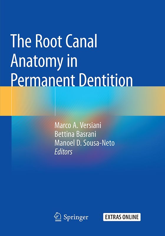 The Root Canal Anatomy in Permanent Dentition