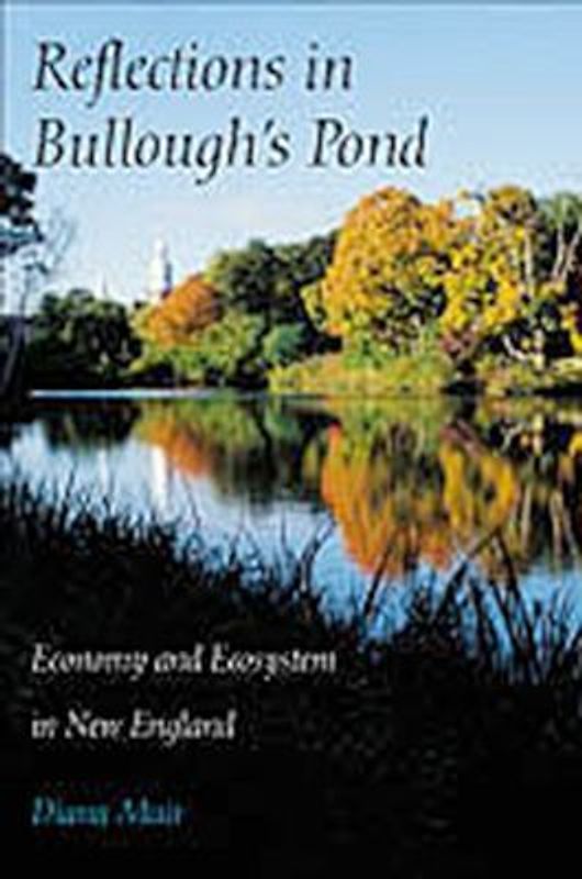 Reflections in Bullough's Pond