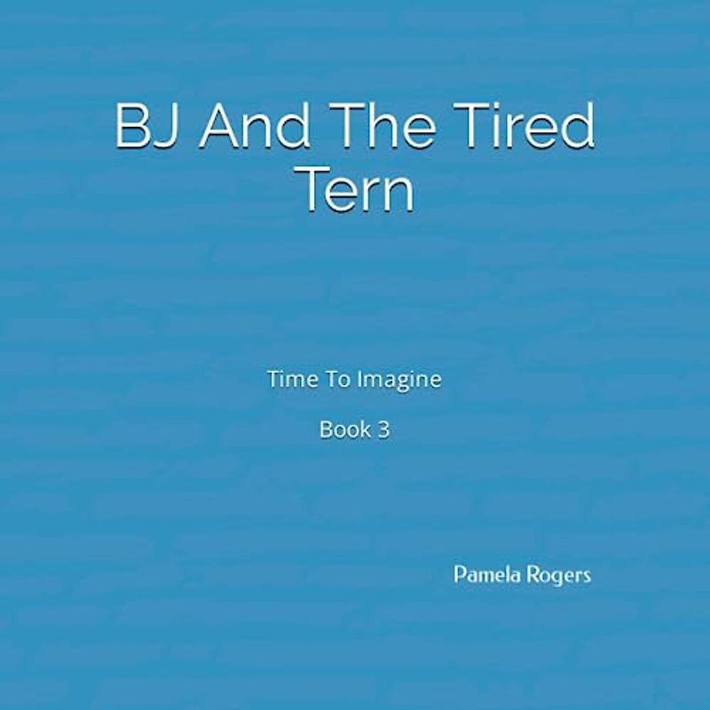 BJ And The Tired Tern (Time To Imagine)