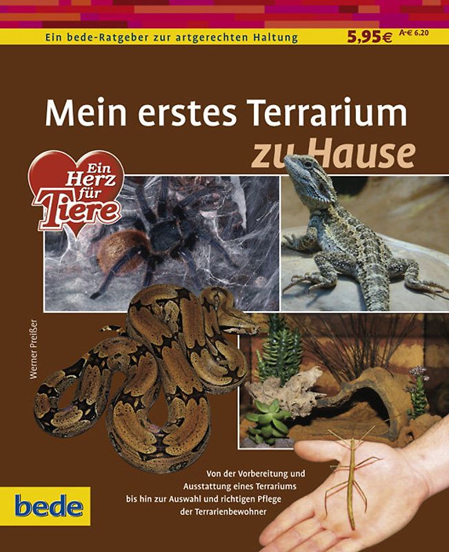 Mein erstes Terrarium zu Hause