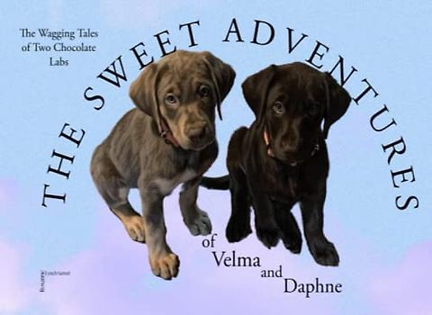 The Sweet Adventures Of Velma And Daphne: The Wagging Tales Of Two Chocolate Labs
