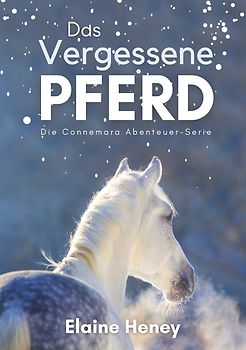 Das vergessene Pferd - Die Connemara Abenteuer-Serie