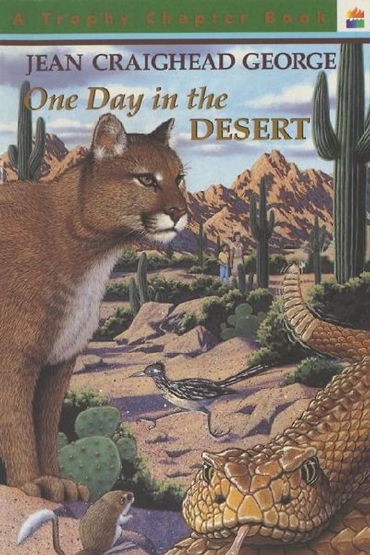 One Day in the Desert