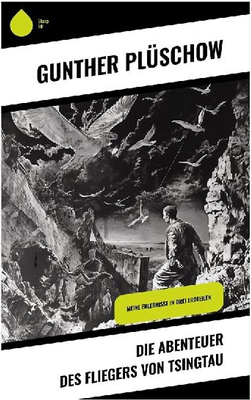 Die Abenteuer des Fliegers von Tsingtau