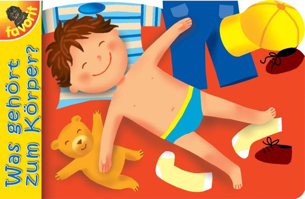 Was gehört zum Körper?