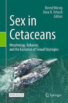 Sex in Cetaceans