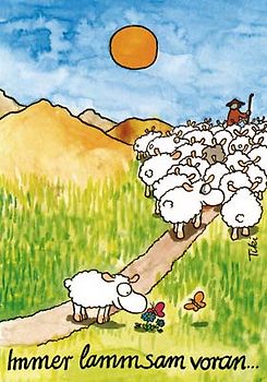Immer lammsam voran! - Schäfchenposter