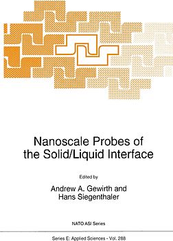 Nanoscale Probes of the Solid/Liquid Interface
