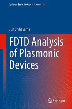 FDTD Analysis of Plasmonic Devices