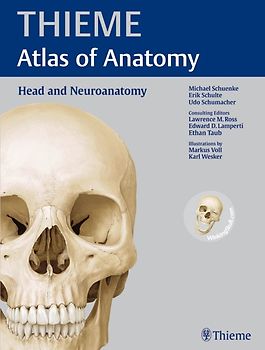 Head and Neuroanatomy. THIEME Atlas of Anatomy