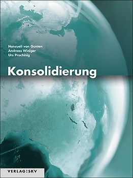 Konsolidierung, Bundle