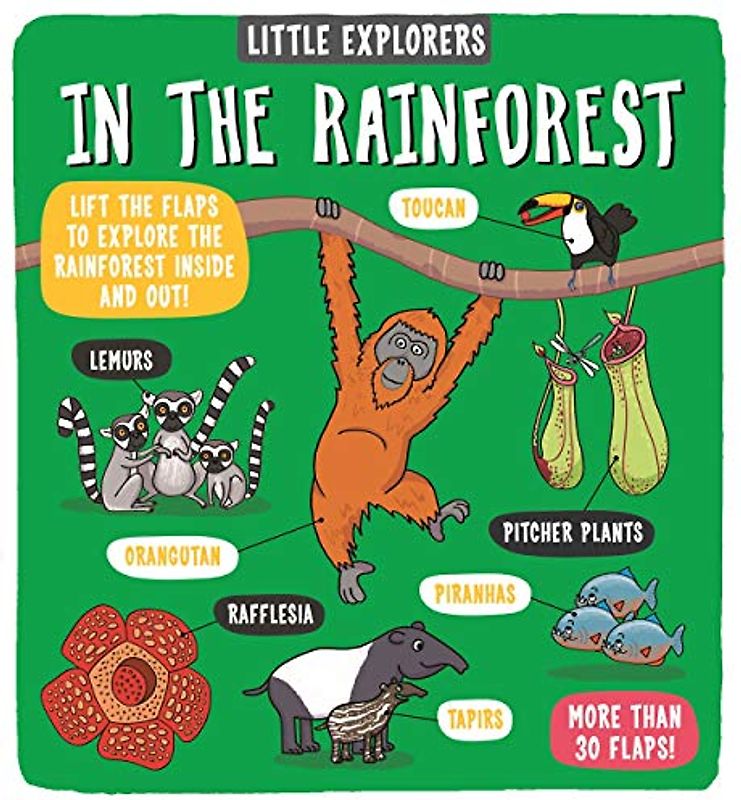 Little Explorers: In the Rainforest
