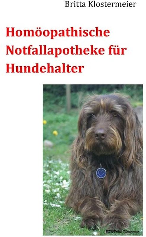 Homöopathische Notfallapotheke für Hundehalter
